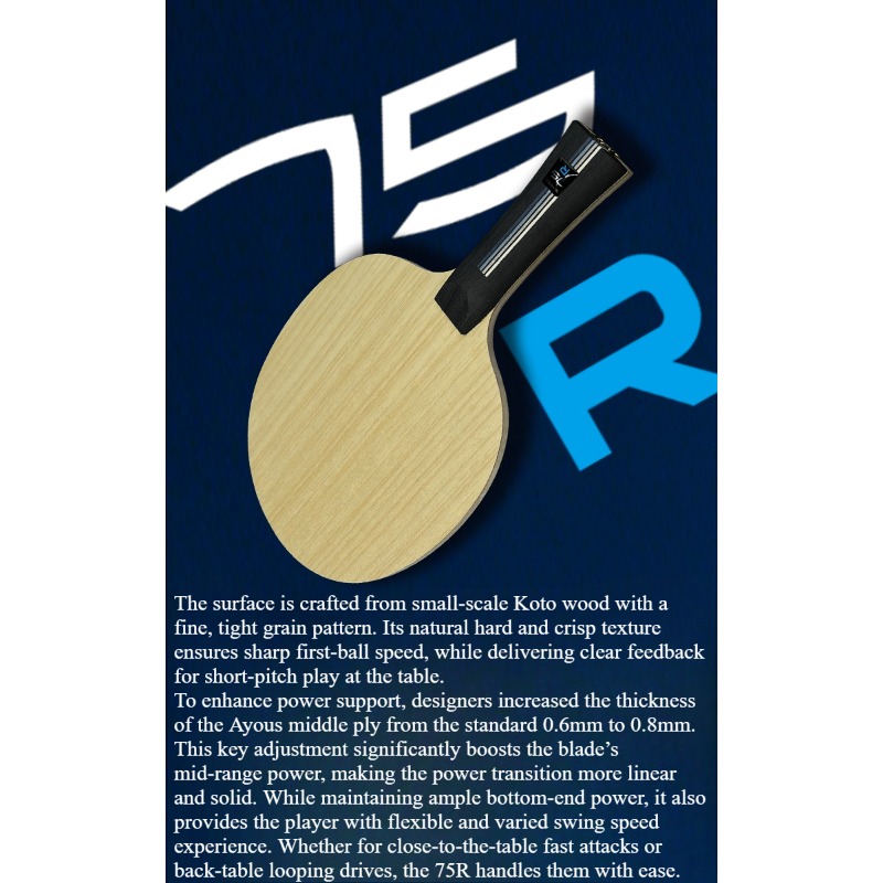 SANWEI 75R 5+2 Outer H-GLC Tab - Table Tennis Blade ulasan dan harga